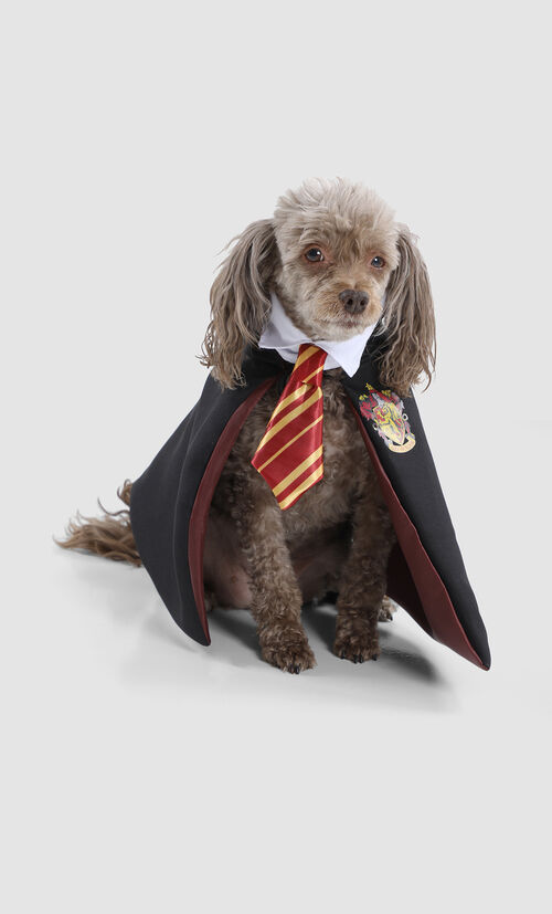 Disfraz Para Mascota Harry Potter